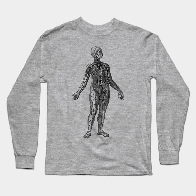 Human Vascular System Diagram Long Sleeve T-Shirt by Vintage Anatomy Prints